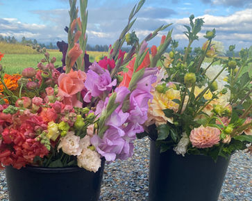 Buckets of blooms