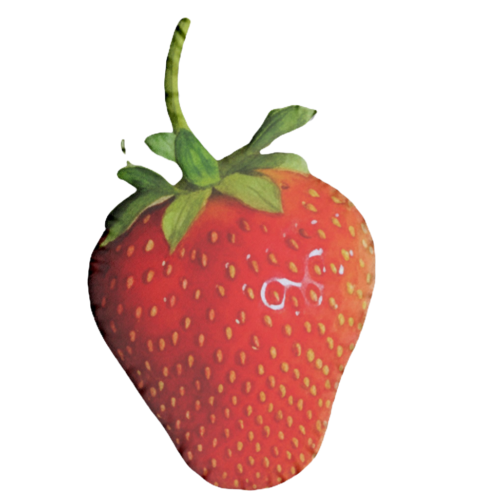 strawberry-pillow (2).jpg