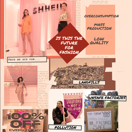 Is Sustainability A Plan For Online Brands?