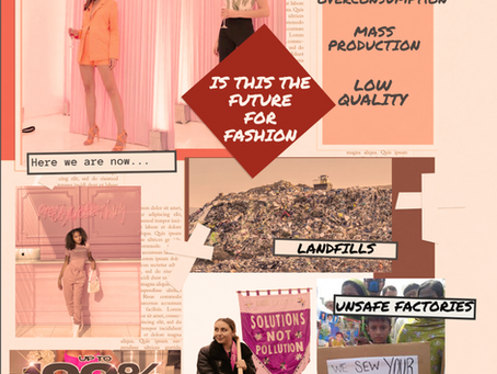 Is Sustainability A Plan For Online Brands?