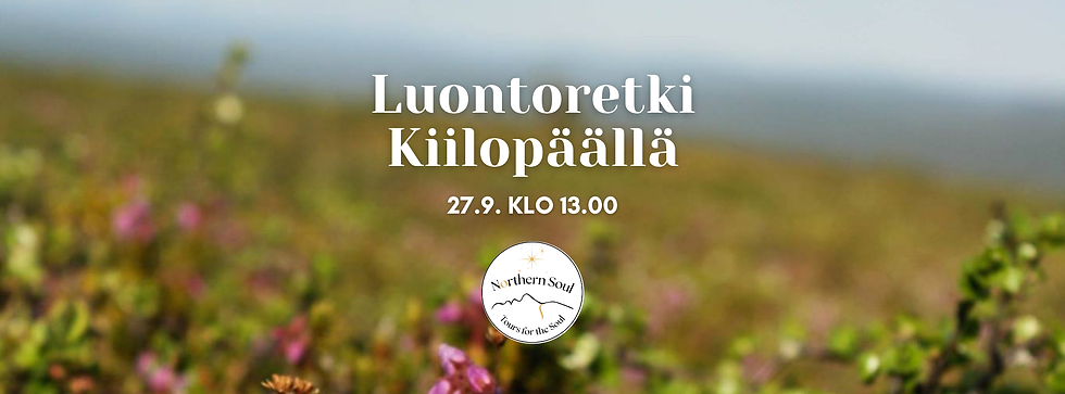 Luontoretki Kiilopäälle