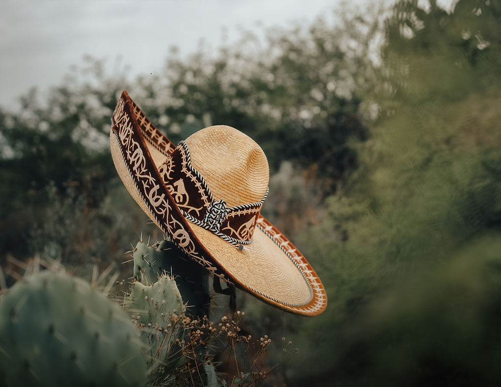 sombrero + nopal.png