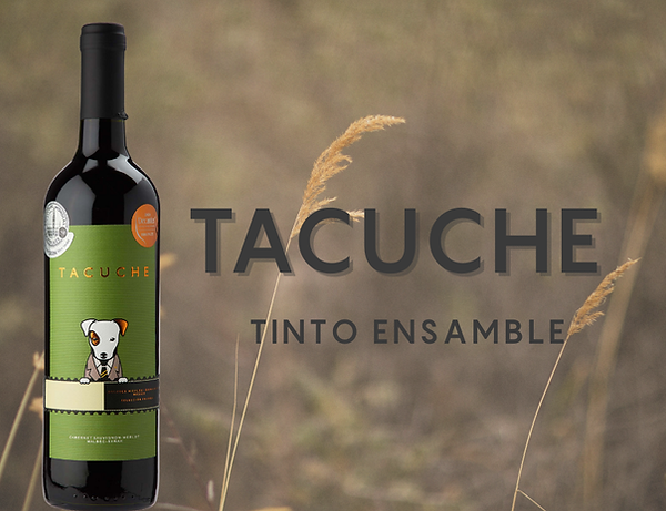 Tacuche rosado (5).png