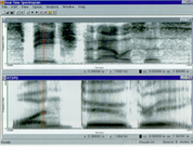 Real Time Spectogram