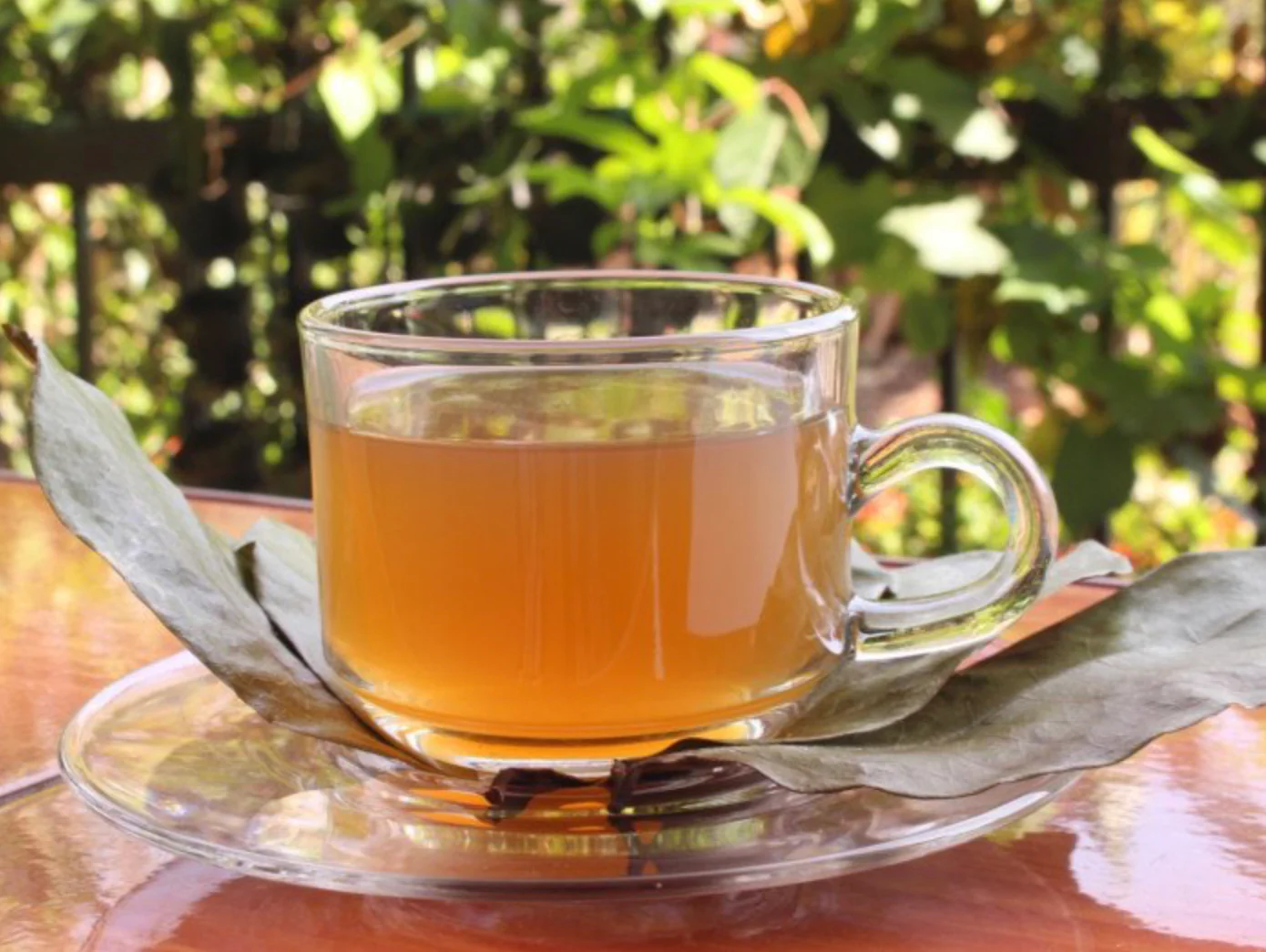 soursop tea