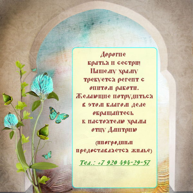 ТРЕБУЕТСЯ РЕГЕНТ!.jpg
