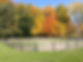 123_1(9).jpeg