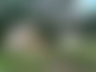 $145,000 3901 Kennedy Home Rd, La Grange, NC 28551