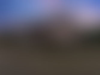 1133 Strawberry Branch Rd, Kinston, NC 28501