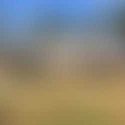 1602 Greenbriar Rd, Kinston, NC 28504