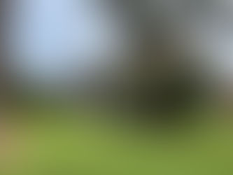 1204 W Highland Ave, Kinston, NC 28501