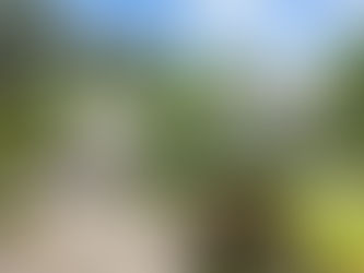 1005 West Rd, Kinston, NC 28501