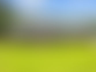 $275,000 4341 Ed Herring Rd, La Grange, NC 28551