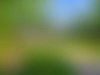 1208 Johna Brooke Ln, Kinston, NC 28504