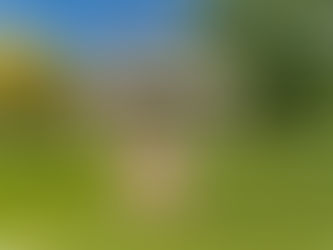 $375,000 2148 Will Cunningham Rd, Deep Run, NC 28525