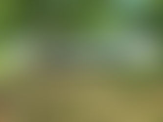 $99,000 284 Curtis St, Kinston, NC 28504