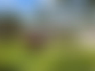 2499 Airport Rd, Kinston, NC 28504