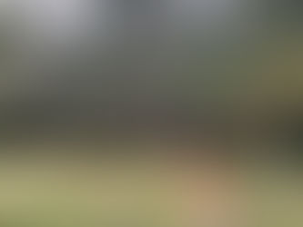 2300 Carey Rd, Kinston, NC 28504