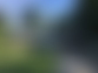 $110,000 3480 Dobbs Farm Rd, Kinston, NC 28504