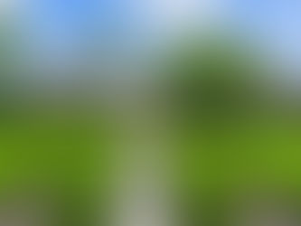 $299,000 1907 York St, Kinston, NC 28504