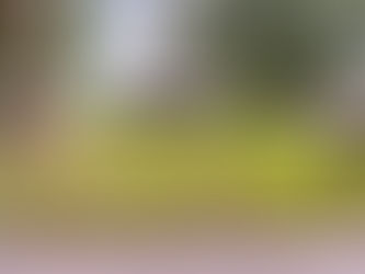 $199,000 1214 Stockton Rd, Kinston, NC 28504