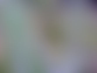 6640 US Hwy 70 W, La Grange, NC 28551