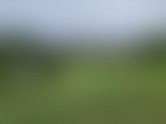 $185,000 4927 Washington St, La Grange, NC 28551