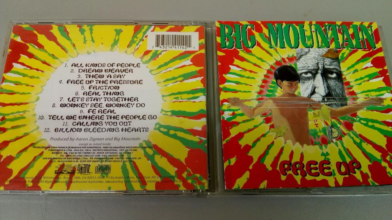 Cd Usado Big Mountain Free Up