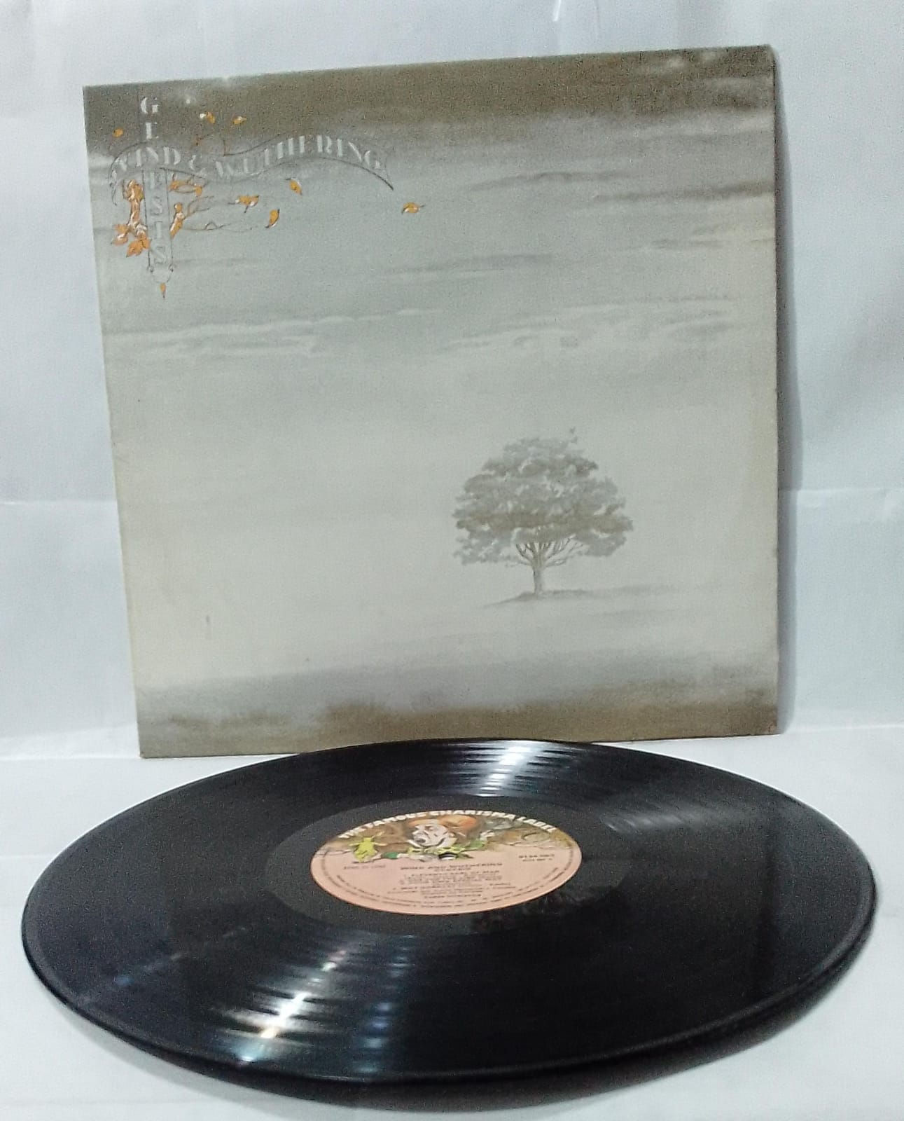 Vinil LP Genesis Wind & Wuthering LPU233