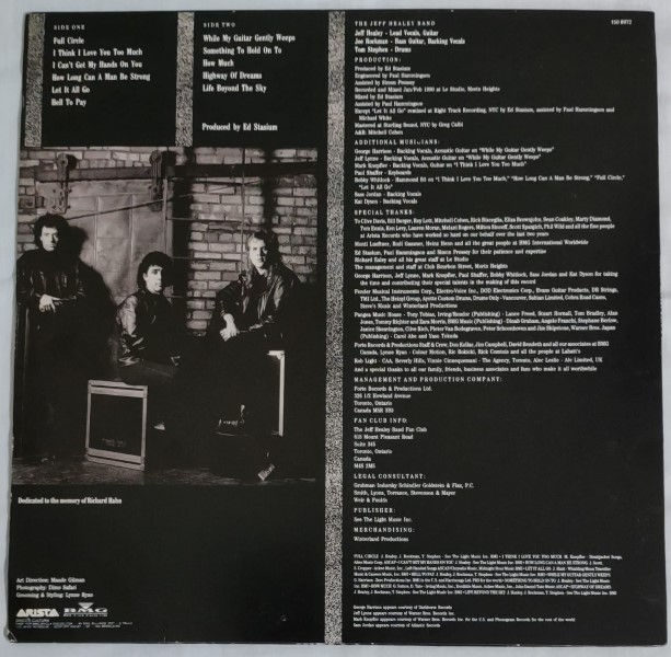 Miniatura: Vinil Lp The Jeff Healey Band Hell To Pay Nacional 1990