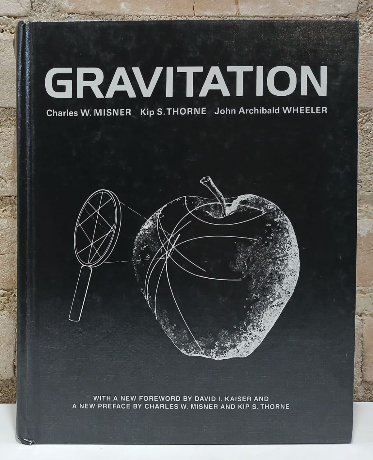 Livro Usado Gravitation Física e Astrofísica Excelente