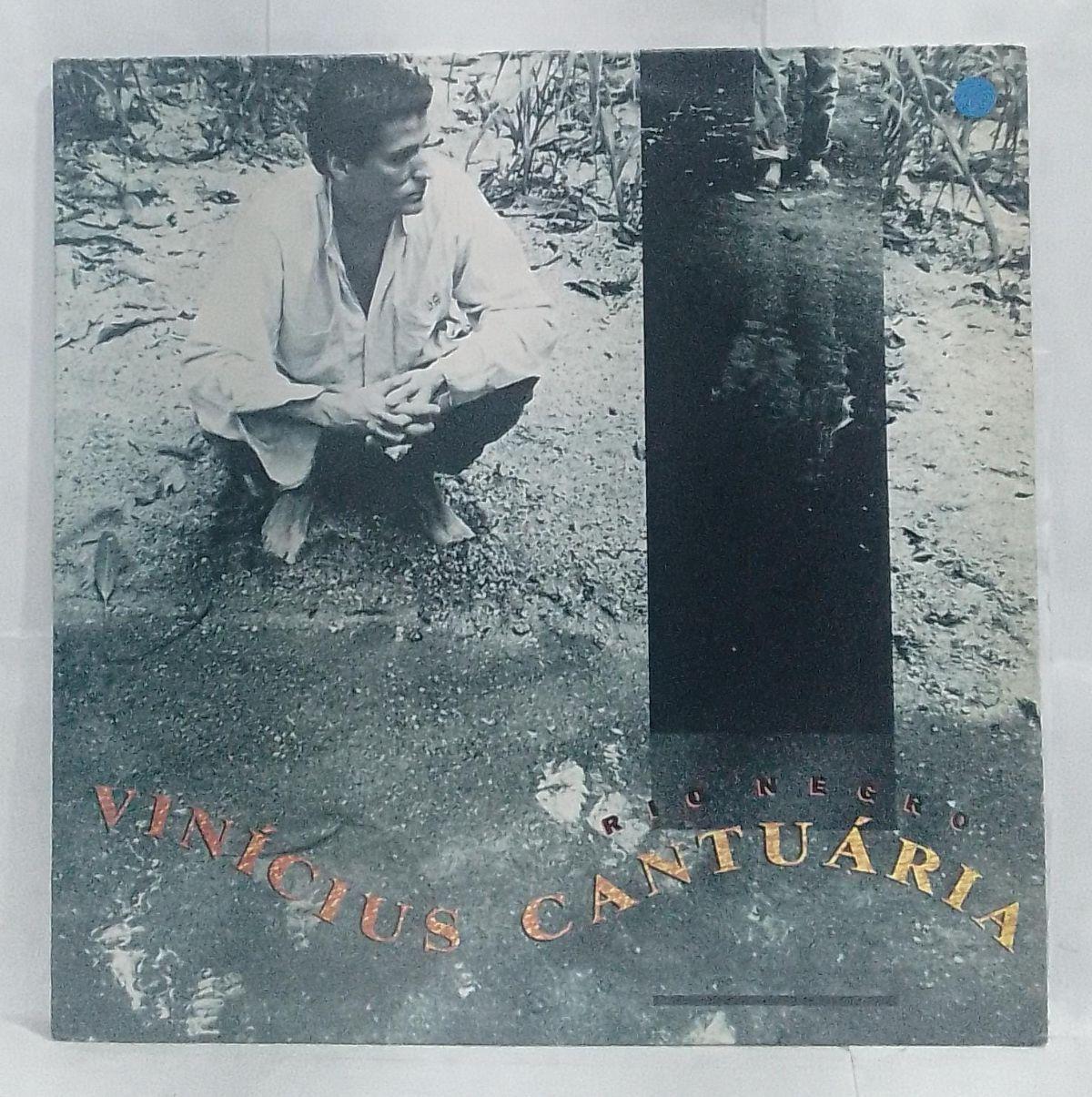 LP Usado Vinicius Cantuária Rio Negro