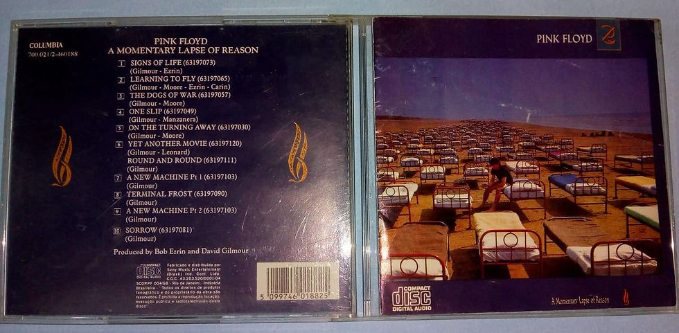 Cd Usado Pink Floyd A Momentary Lapse Of Reason CDU2666