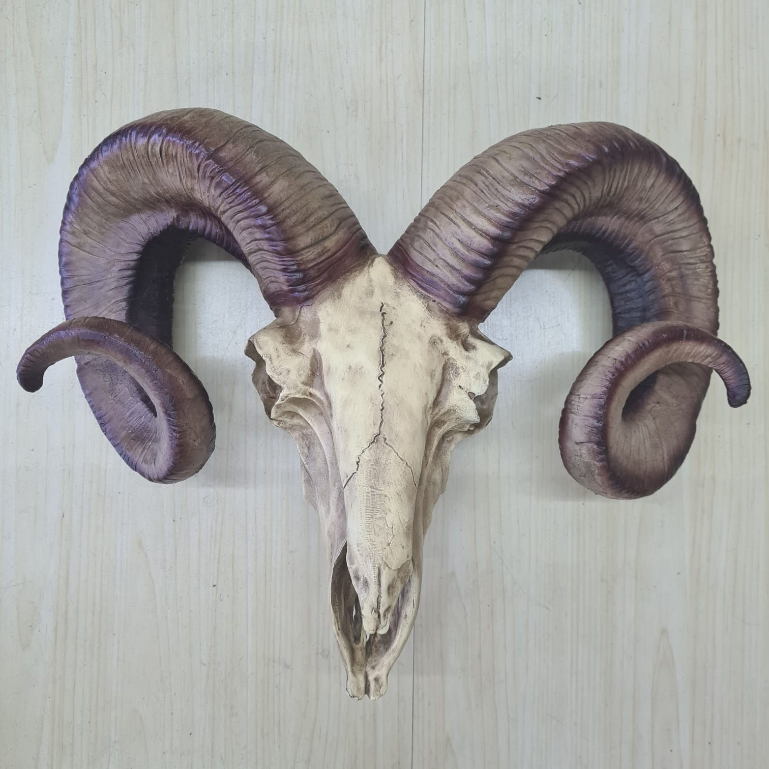 Estatua Escultura Cranio Bode Carneiro Decoração Resina BC09