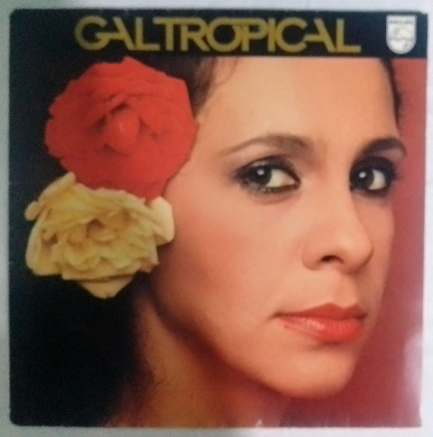Vinil LP Gal Costa Tropical C/Poster 1979