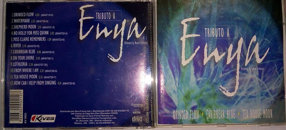 Cd Usado Tributo A Enya CDU5242