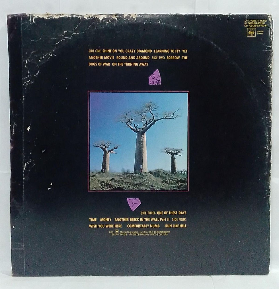 Miniatura: LP Usado Pink Floyd Delicate Sound of Thunder