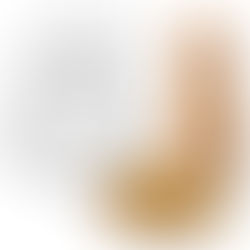 Ceramic Cat Food Bowls - 8 Pack Shallow Plates for Wet Food, Whisker-Friendly Feeding Dish with Non-Slip Silicone Base, Microwave & Dishwasher Safe for Indoor Cats & Kittens