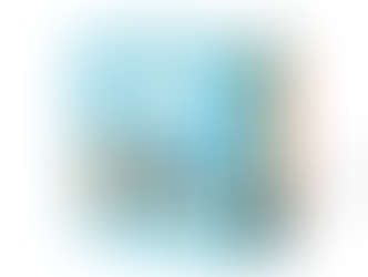 Bluey: Little Library 4-Book Box Set Board book – January 16, 2024