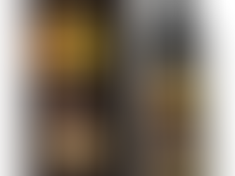 Black Hair Dye Shampoo for Gray Coverage, Instant Hair Color Shampoo, Long Lasting Black Hair Shampoo, Champu Para Canas, Gentle & Fast, Easy to Use, 16.90 Fl Oz