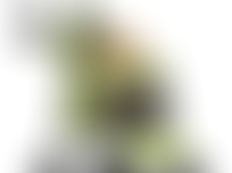 MoNiBloom 4 Wheels Pet Stroller, Easy-Fold Umbrella Shaped Dog Cat Jogger Stroller w/Storage Bag & Visible Mesh for Small/Medium Dogs Cats Lawn Green Polka Dots