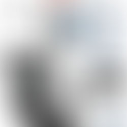 Miele Classic C1 Pure Suction Canister Vacuum Cleaner with AllTeQ Universal Floorhead Bundle - Includes GN Bag Pack - 4 HyClean Air Genuine FilterBags + Genuine AirClean Filter and Pre-Motor Filter