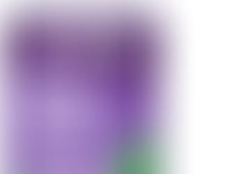 Natrol Sleep & Restore Capsules - Calm Magnesium Glycinate, Magnesium Sleep Aid with GABA, Melatonin 5mg, Botanical Blend, 30 Day Supply