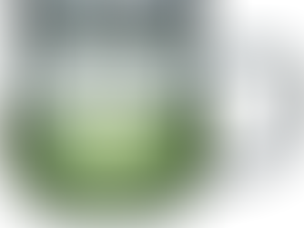 Glass Tea Cup with Infuser and Lid, 32oz/950ml Large Borosilicate Teacup, Clear Mug for Loose Leaf, Blooming Tea, Dishwasher Safe - Tea Maker Gift for Birthday.