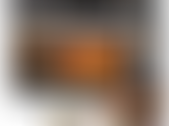 Typhur Sync Oven with Smart Wireless Meat Thermometer Probe, 12‑in‑1 Countertop Air Fryer Toaster Oven Combo, 360° Turbo Convection, Dehydrator, Recipes & 5 Accessories, Large 27QT, Stainless Steel