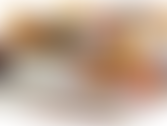 Boho Throw Blanket for Couch 100% Cotton Ultra Soft Rustic Quilt Butterfly and Floral Double Embroidery Fall Throw Blanket,50" x 60" All Season Throws for Sofa Chair