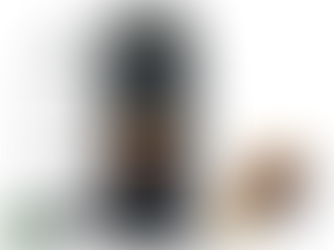 Breville Nespresso VertuoPlus Coffee and Espresso Machine by Breville,Grey