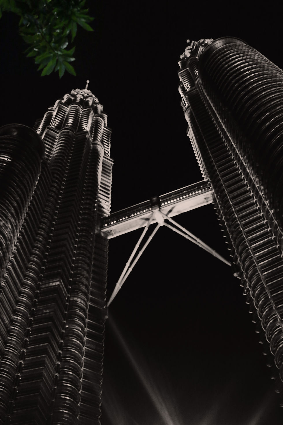 -Twin Towers, Single green Leaf