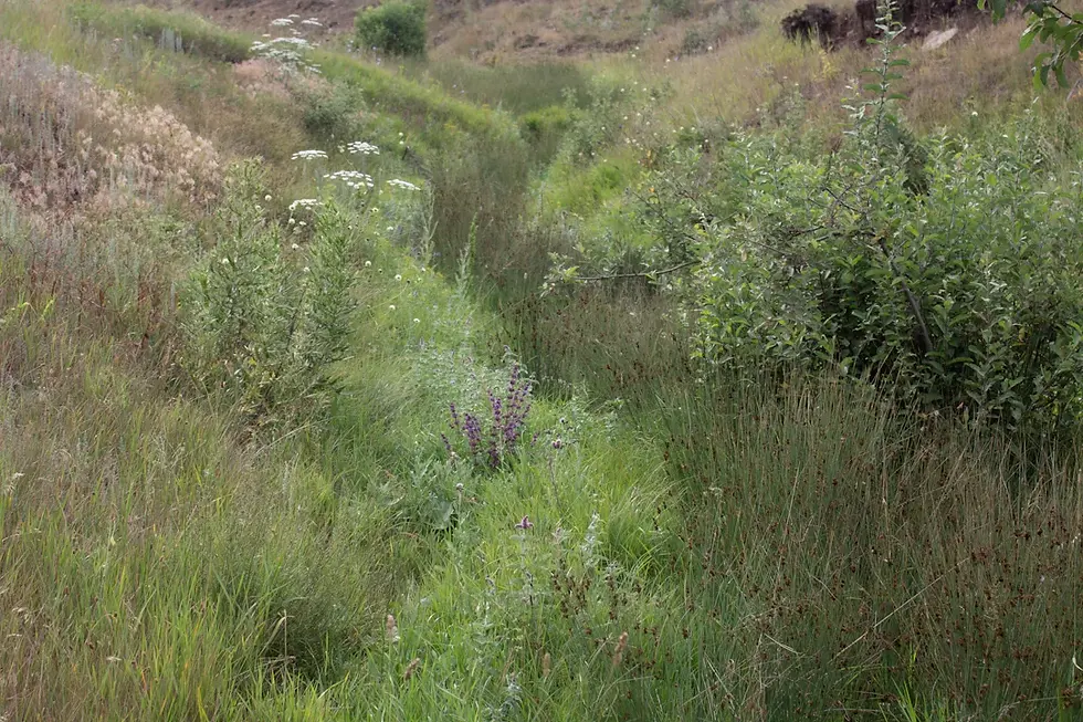 Master the Art of Landscape Drainage: A Comprehensive Guide to Creating Your Drainage Plan