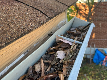 Transform Your Home: Exploring the Benefits of Leaf Guard Installation